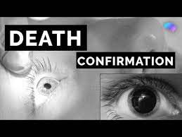After Confirmation of Death
